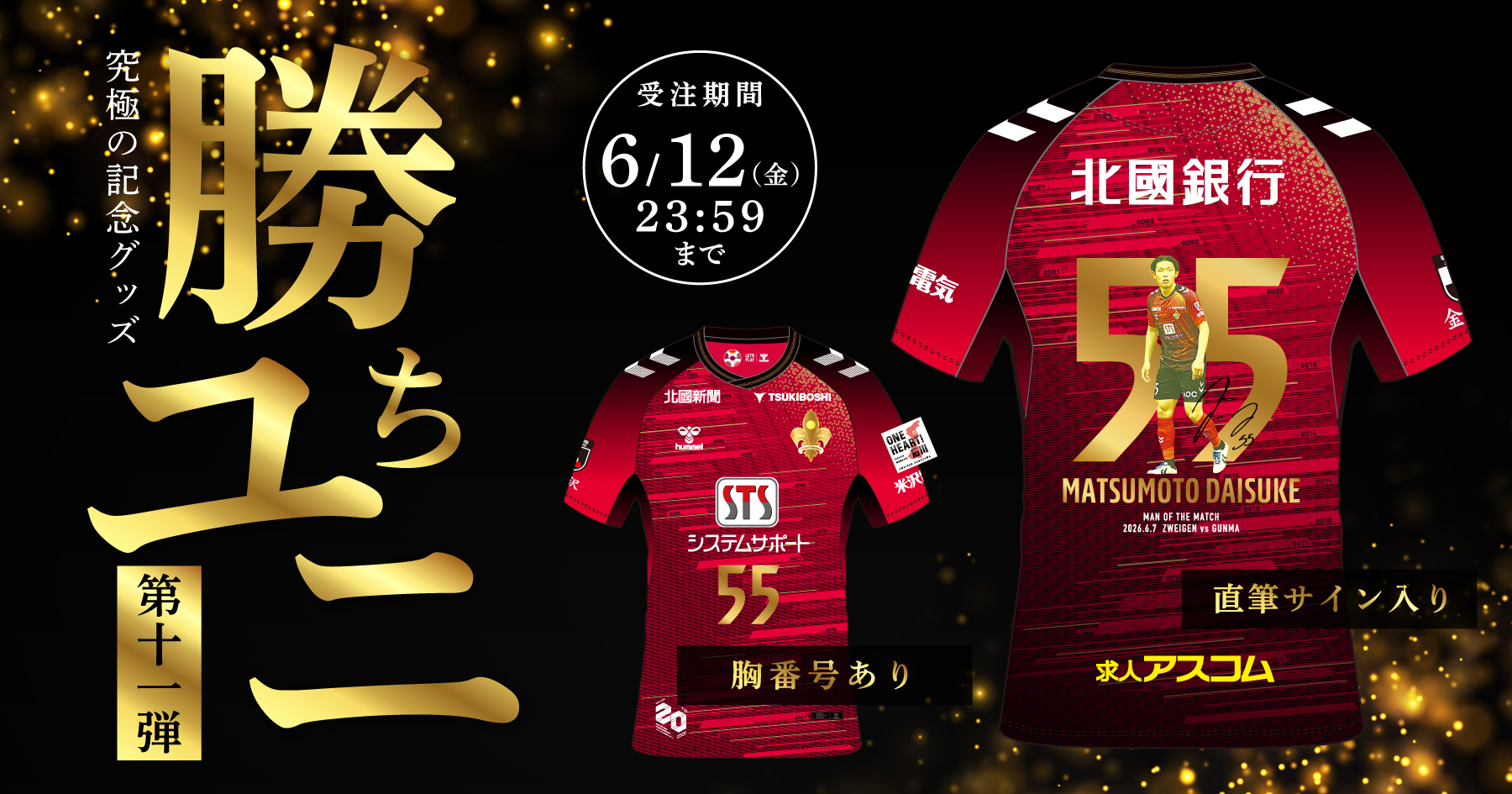 ガイナーレ鳥取 超希少 JFL優勝記念ユニフォーム シリアルNo.入り 