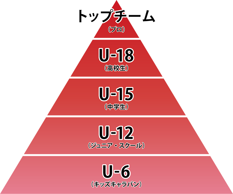 アカデミー各カテゴリー図