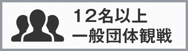 12名以上一般団体観戦プラン
